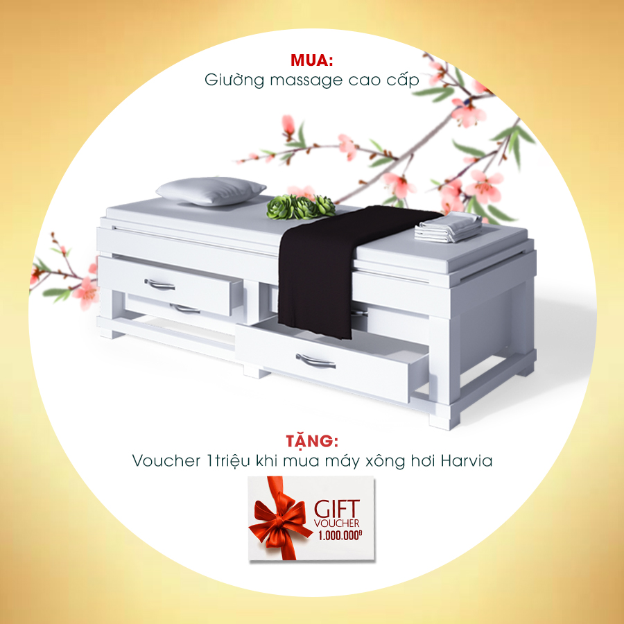 Mua giường massage cao cấp tặng voucher giảm giá 1 triệu đồng khi mua máy xông hơi Harvia 
