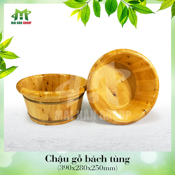 CHẬU NGÂM CHÂN THẢO DƯỢC