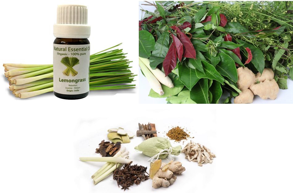 Những nguyên liệu có thể sử dụng kết hợp cho quá trình ngâm chân thư giãn