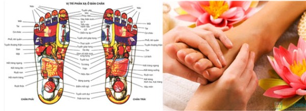 CHẬU NGÂM CHÂN THẢO DƯỢC