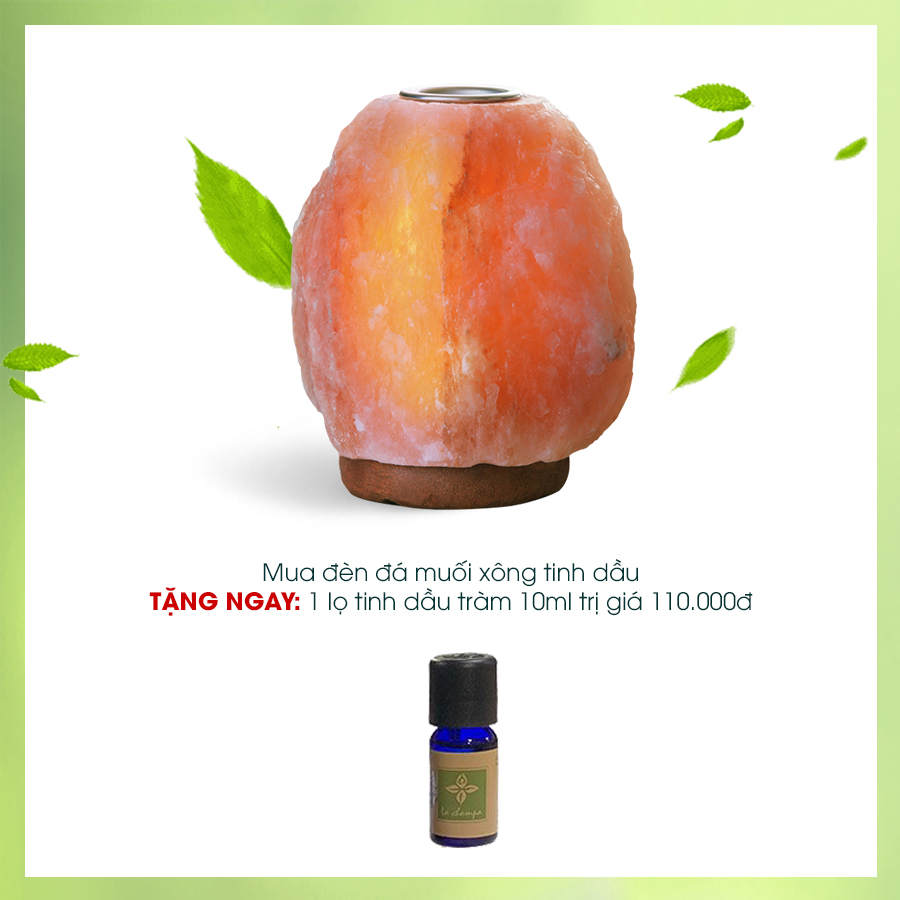 Mua Đèn đá muối xông tinh dầu TẶNG 1 lọ tinh dầu tràm gió kháng khuẩn 10ml trị giá 110.000