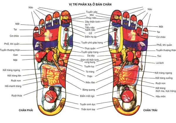 Hộp đá muối massage chân Love Stone