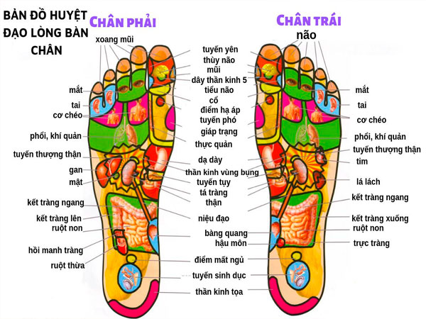 Bàn chân chính là trái tim thứ 2 của con người Bàn chân chính là trái tim thứ 2 của con người