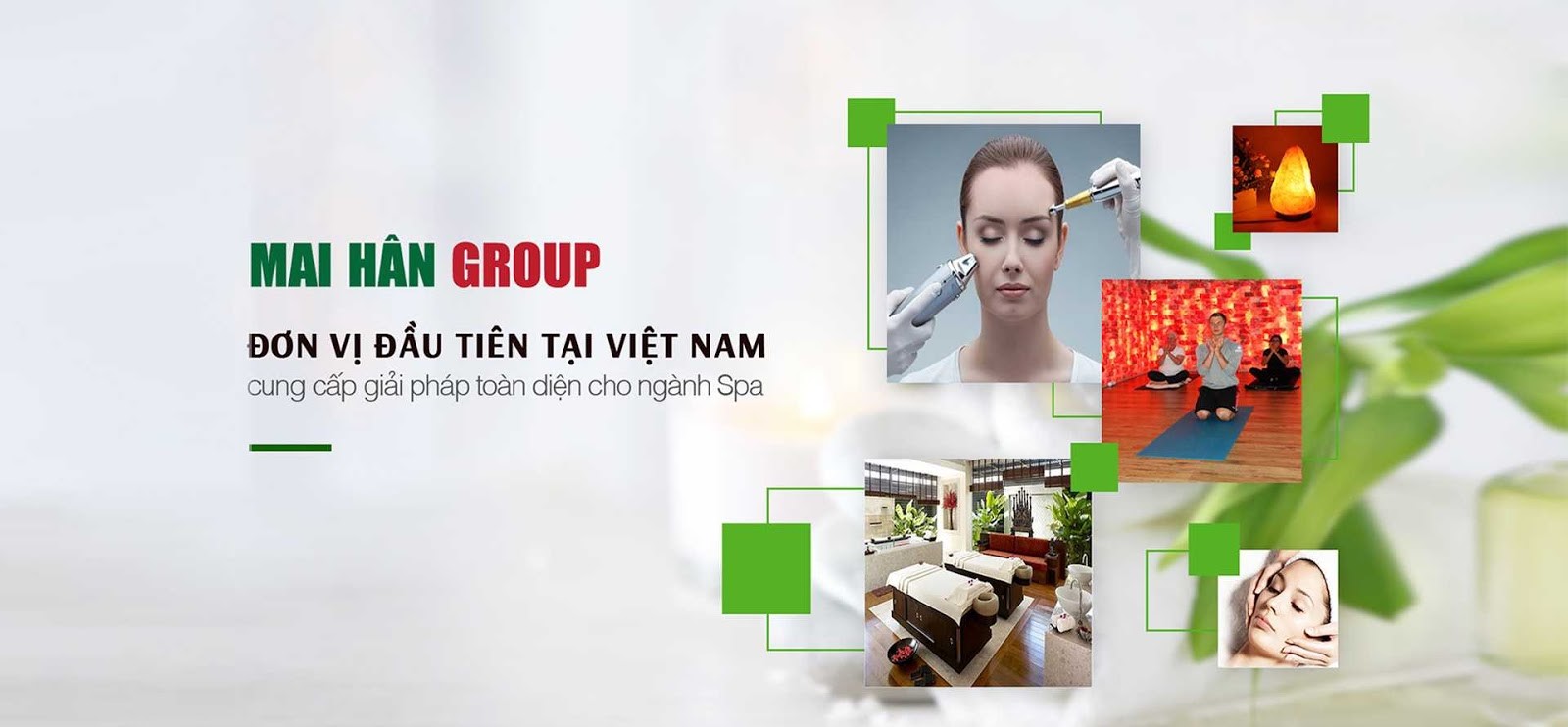 Mai Hân Group - Đơn vị chuyên setup spa uy tín và chuyên nghiệp hàng đầu Việt Nam Mai Hân Group - Đơn vị chuyên setup spa uy tín và chuyên nghiệp hàng đầu Việt Nam