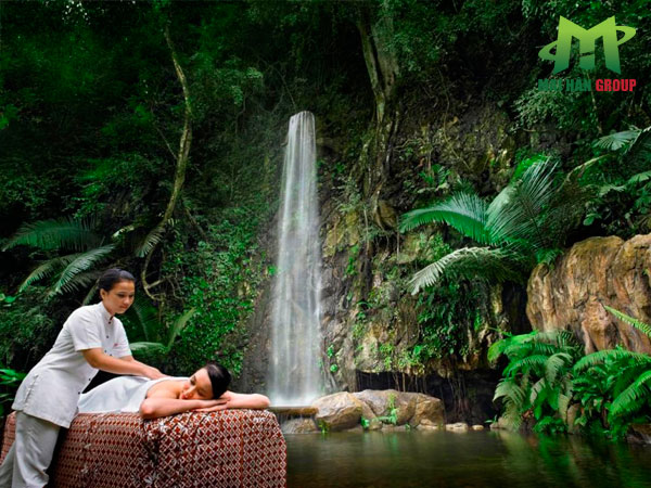 Thiết kế nội thất spa mang phong cách thiên nhiên