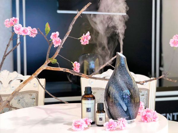 Chú trọng mùi hương cho không gian spa Chú trọng mùi hương cho không gian spa