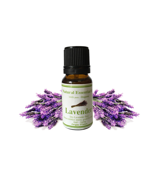 Tinh dầu Lavender 10ml Tinh dầu Lavender 10ml