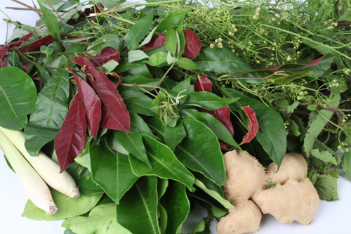 HỘC ĐỰNG HƯƠNG LIỆU CHO PHÒNG XÔNG ƯỚT HỘC ĐỰNG HƯƠNG LIỆU CHO PHÒNG XÔNG ƯỚT